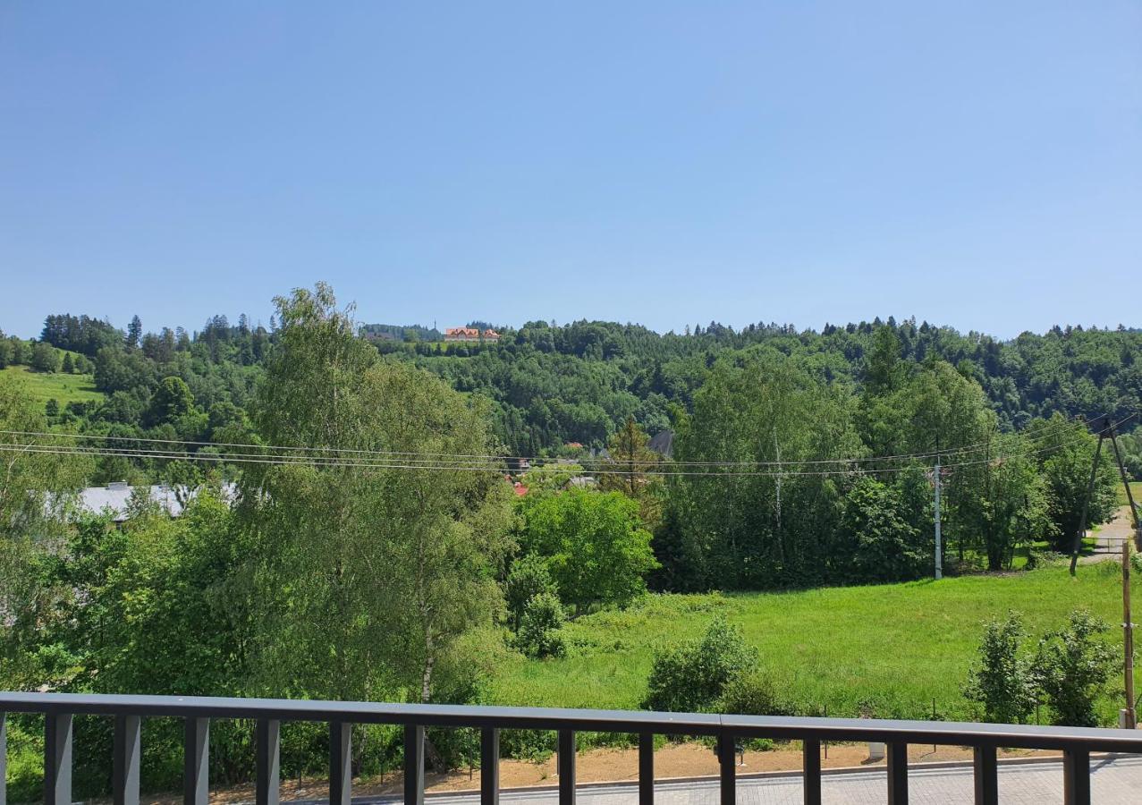Apartamenty Ski & Fun Spokojna Wisła Exterior foto